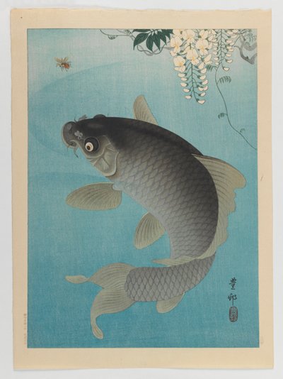 Karpfen unter Glyzinien, ca. 1935 von Ohara Koson